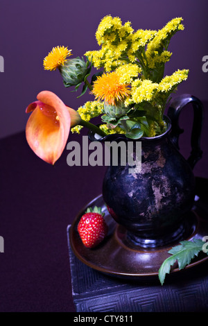 Zantedeschia aethiopica calla lily, fleur et fleurs des champs divers Banque D'Images