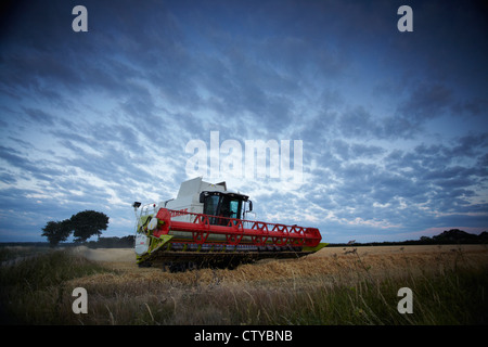 La récolte d'orge de la moissonneuse-batteuse Claas Banque D'Images