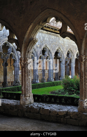 Cloître gothique de la Collégiale Saint Pierre / collégiale Saint-Pierre de La Romieu, Pyrénées, France Banque D'Images