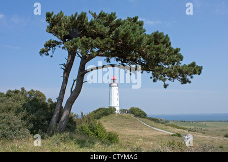 Le phare sur la colline de l'île de Hiddensee, Dornbusch, côte de la mer Baltique, Schleswig-Holstein, Allemagne Banque D'Images