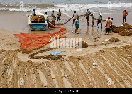 La propagation des pêcheurs de grands filets (madela) sur plage, côte sud de Sri Lanka Banque D'Images