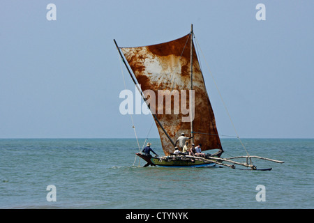 Outrigger bateau de pêche (ORU) avec les touristes dans l'Océan Indien, Negombo, Sri Lanka Banque D'Images