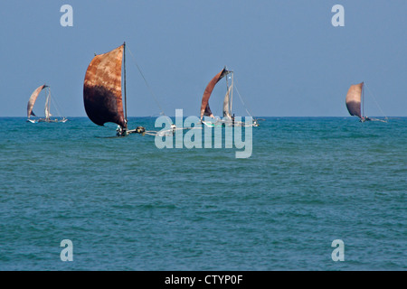 Outrigger bateaux de pêche (ORU) dans l'Océan Indien, Negombo, Sri Lanka Banque D'Images