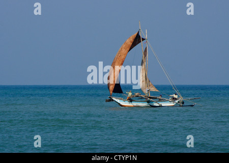 Outrigger bateau de pêche (ORU) dans l'Océan Indien, Negombo, Sri Lanka Banque D'Images