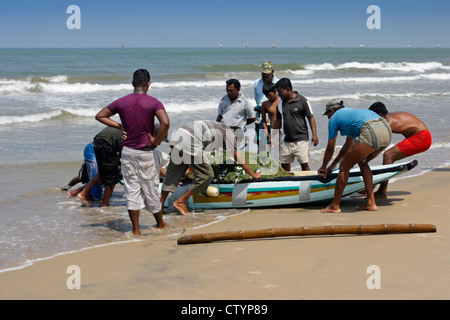 Les pêcheurs dans l'échouage bateau avec captures, Negombo, Sri Lanka Banque D'Images