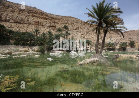 Oasis dans le désert Banque D'Images