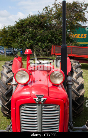 Vintage red tracteur Massey Ferguson à afficher Banque D'Images