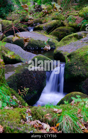 Quelques belles vues de Becky falls, Dartmoor Banque D'Images