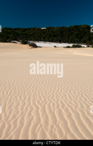 Traversée des dunes de sable sur la promenade au Lac Wabby sur Fraser Island. Banque D'Images