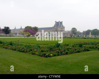 Les jardins des Tuileries, regard vers le Louvre, sur un matin de printemps brumeux à Paris, France Banque D'Images