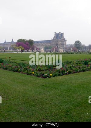 Les jardins des Tuileries, regard vers le Louvre, sur un matin de printemps brumeux à Paris, France Banque D'Images