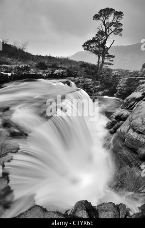 Image en noir et blanc de familles d'arbres de pin sylvestre et de la chute d'un Fhasaig sur l'Abhainn Torridon, les Highlands écossais, Banque D'Images