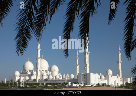 Grande Mosquée Vue de dessous tree Banque D'Images