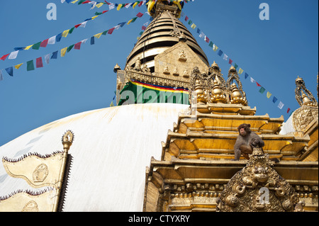 Swayambhunath Stupa - le lieu le plus sacré du bouddhisme tibétain stupa (Vajrayana). Katmandou, Népal Banque D'Images