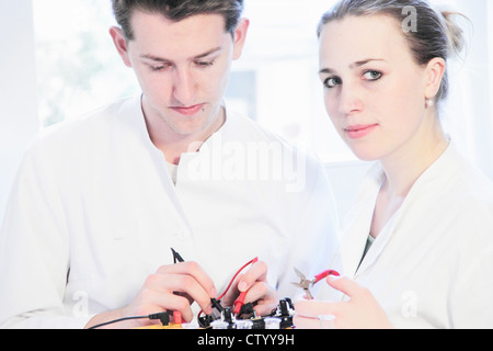 Les étudiants qui travaillent dans le laboratoire de sciences Banque D'Images