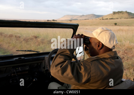 Guide de Safari à la recherche dans les jumelles pour les animaux, dans le Masai Mara National Reserve, Kenya, Afrique. Banque D'Images