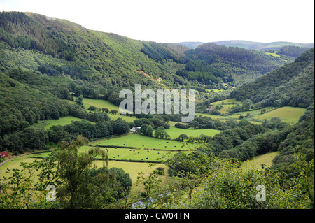 Vallée de Rheidol Devils Bridge près de l'ouest du pays de Galles Ceredigion Banque D'Images