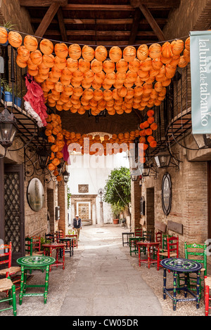 Scène colorée dans des rues du vieux Cordoue, Andalousie, Espagne, Europe. Banque D'Images