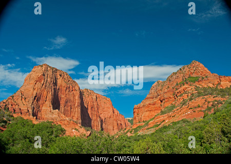 Kolob Canyons, Zion National Park, Utah Banque D'Images