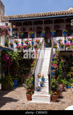 Pots de fleurs typiques dans une cour intérieure colorée, Cordoue, Andalousie, Espagne, Europe. Banque D'Images
