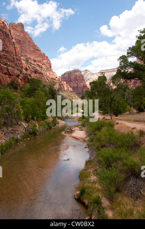 USA, Utah Zion National Park, Virgin River traverse le parc. Banque D'Images