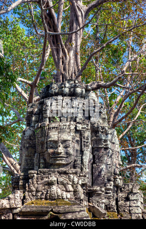 Sculptures en pierre à Ta Som temple au Cambodge. Banque D'Images