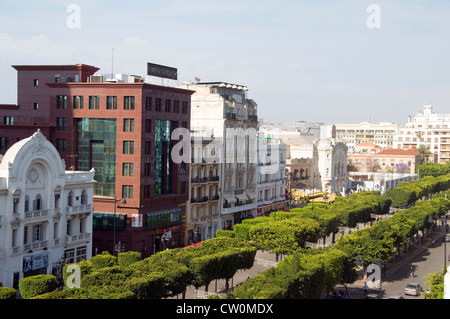 Avenue Habib Bourguiba Tunis Tunisie artère bordée d'capitale boutiques cafés boulevard rue route voyage architecture Banque D'Images