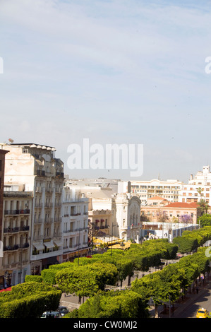 Avenue Habib la principale artère bordée d'arbres dans la capitale, Tunis, Tunisie Bourguiba ila Champs-Élysées à Paris un Banque D'Images