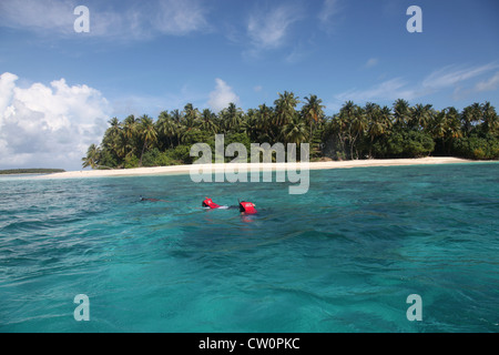 La plongée aux Maldives en août 2010, un guide (pas de gilet de sauvetage), et 2 touristes (avec gilets de sauvetage) Banque D'Images