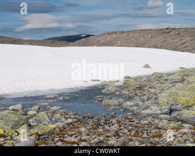 Les nouveaux flux de la neige par une moraine dans le parc national de Dovrefjell en Norvège Banque D'Images