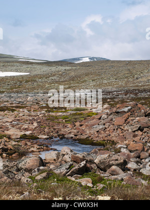 Panorama des montagnes du parc national de Dovre en Norvège Banque D'Images