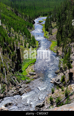 Gibbon Falls Parc national de Yellowstone, Wyoming WY Banque D'Images