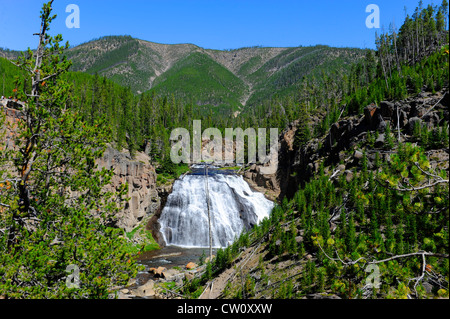 Gibbon Falls Parc national de Yellowstone, Wyoming WY Banque D'Images