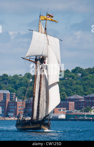 Pride of Baltimore II participe au festival des grands voiliers de 2012 à Halifax, en Nouvelle-Écosse. Banque D'Images