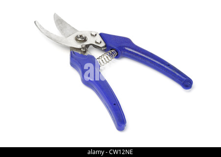 Cisaillement jardinage sur fond blanc Banque D'Images