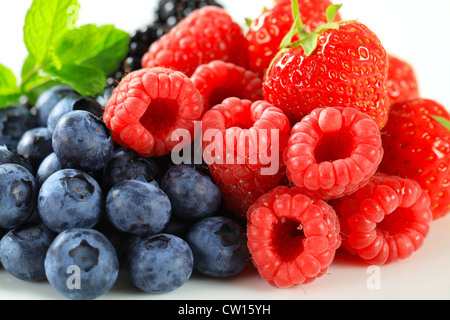 Portrait de petits fruits mélangés Banque D'Images