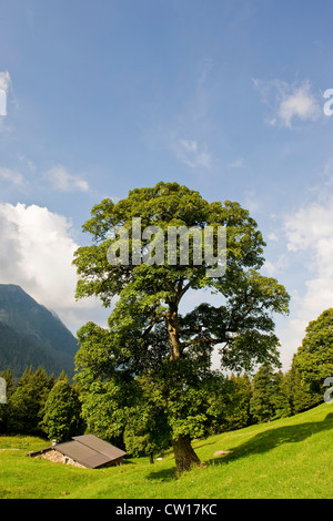 L'Italie, la Lombardie, le Val di Scalve Orobie, montagne, grand Banque D'Images