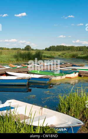 Bateaux amarrés sur la rivière Narew, Pologne Banque D'Images