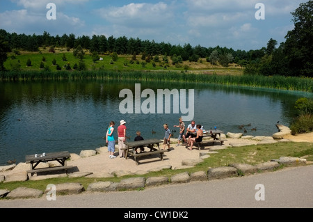 Bedgebury pinetum national forest et goudhurst kent uk 2012 Banque D'Images