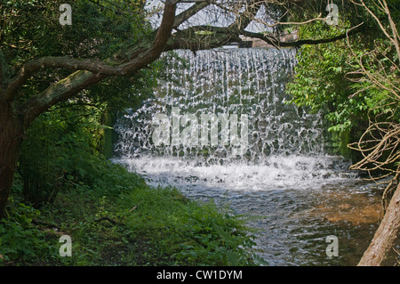 Cascade dans le parc à Newstead Abbey, Nottingham, England, UK Banque D'Images