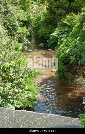 Cascade dans le domaine de Newstead Abbey, Nottingham, England, UK Banque D'Images