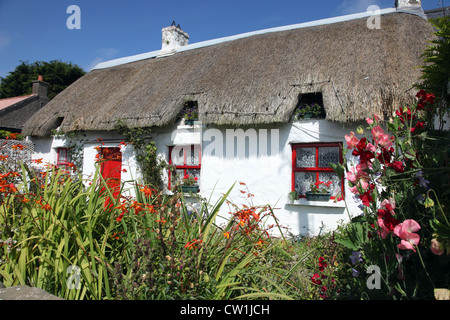 Cottage de pêcheurs de chaume, Clogherhead, Co. Louth, Ireland Banque D'Images