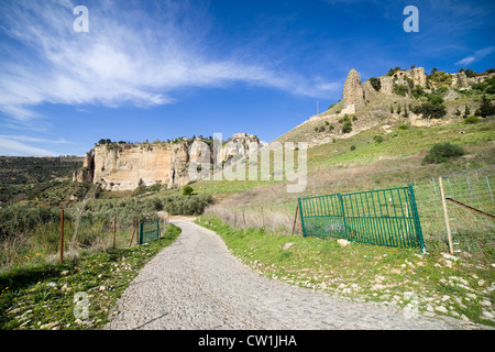 Grâce à une route rurale andalouse pittoresque paysage vallonné dans le sud de l'Espagne, la province de Malaga. Banque D'Images