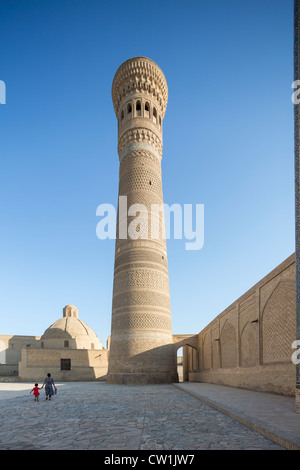 Kalan minaret, mosquée de vendredi, Boukhara, Ouzbékistan Banque D'Images