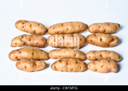Pommes de terre de Anya Banque D'Images