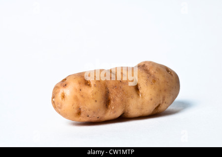 Pomme de terre Anya Banque D'Images