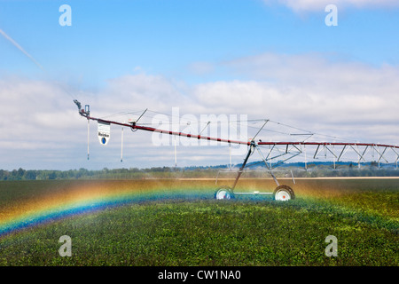 L'irrigation à pivot central du champ de menthe poivrée. Oregon Banque D'Images