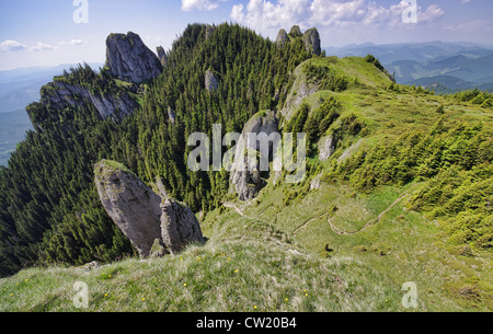 Paysage de montagne des Carpates en été Banque D'Images