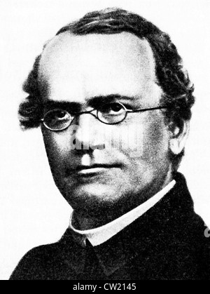 Johann Mendel, Johann Gregor Mendel Banque D'Images