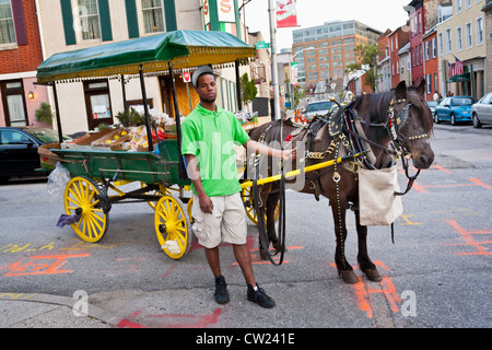 L'homme à Baltimore, Maryland connu localement comme "street" Arabes, la vente des produits de chariot tiré par pony Banque D'Images